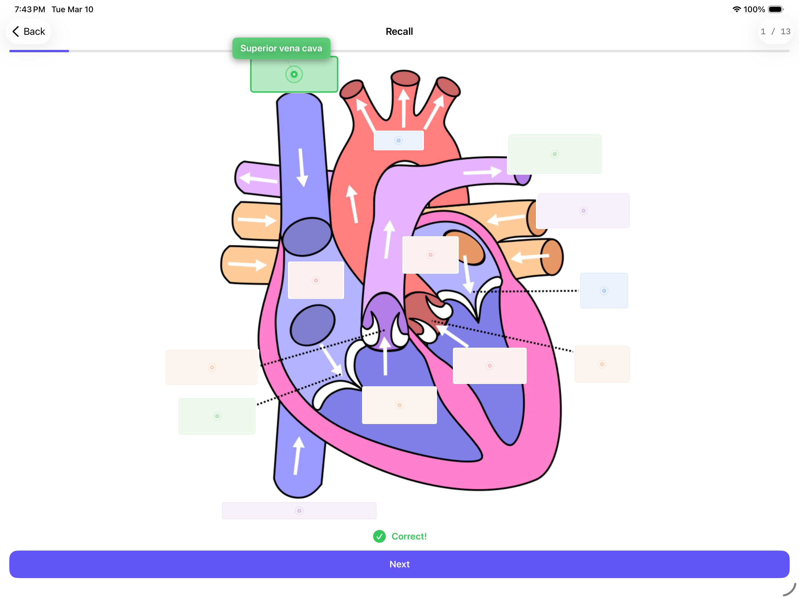 Diagram & Image Occlusion